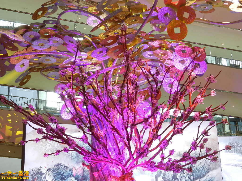 DSCN1293.JPG
