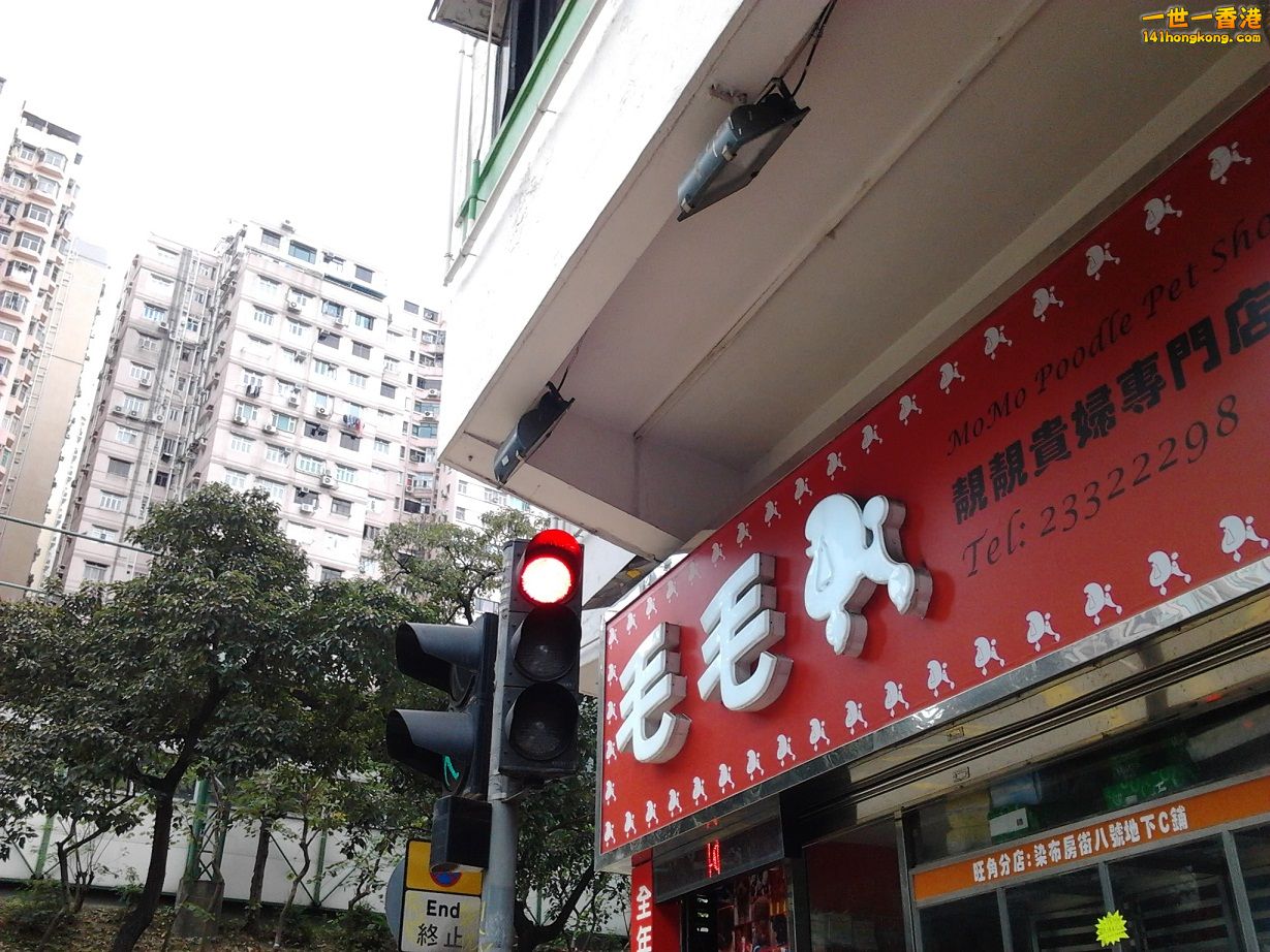 相片0106.jpg