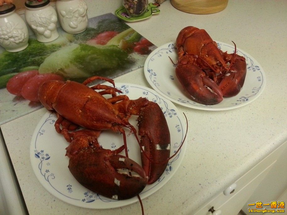 20130218_180844.jpg