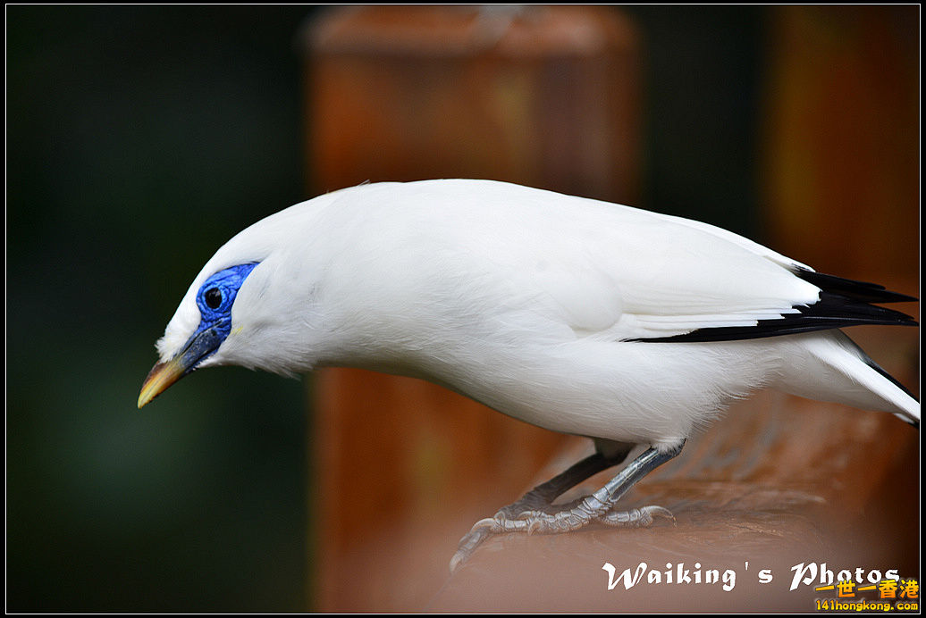 DSC_0075R.jpg