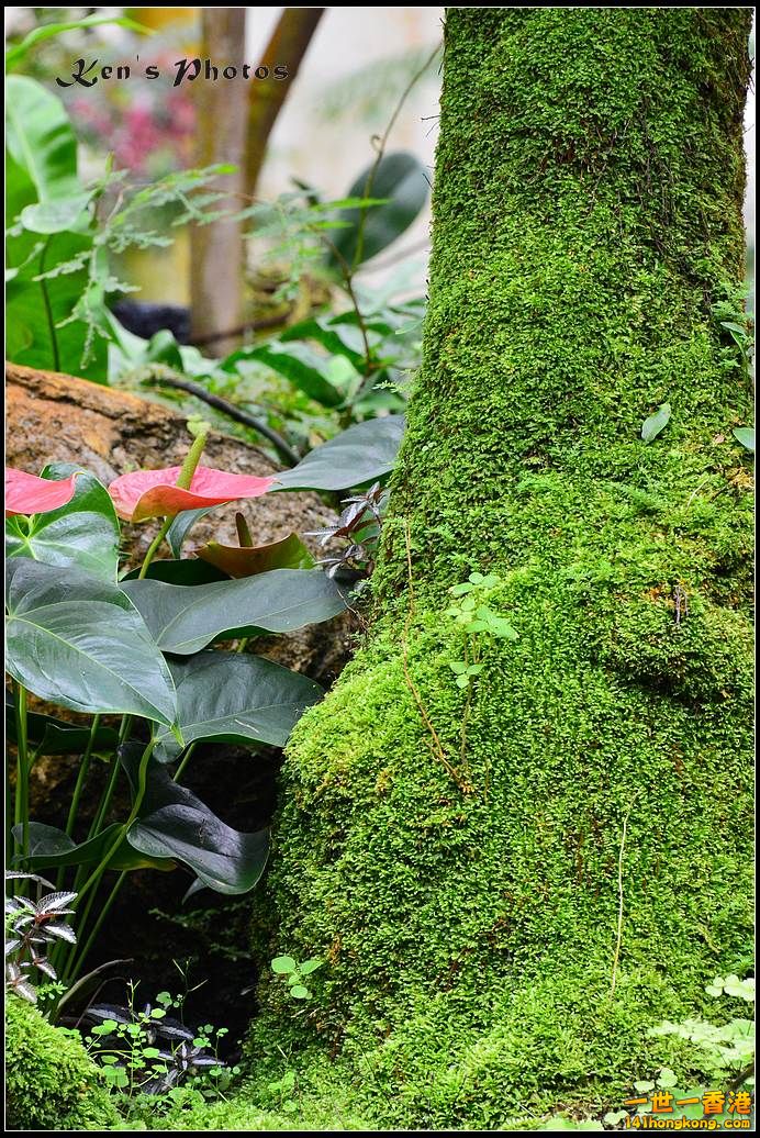 DSC_1370.jpg
