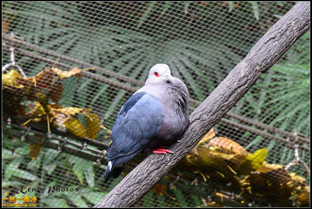DSC_1381.jpg