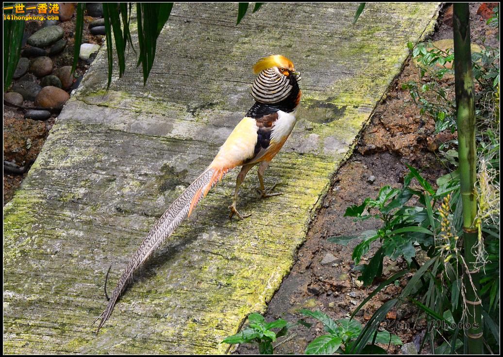 DSC_1410.jpg