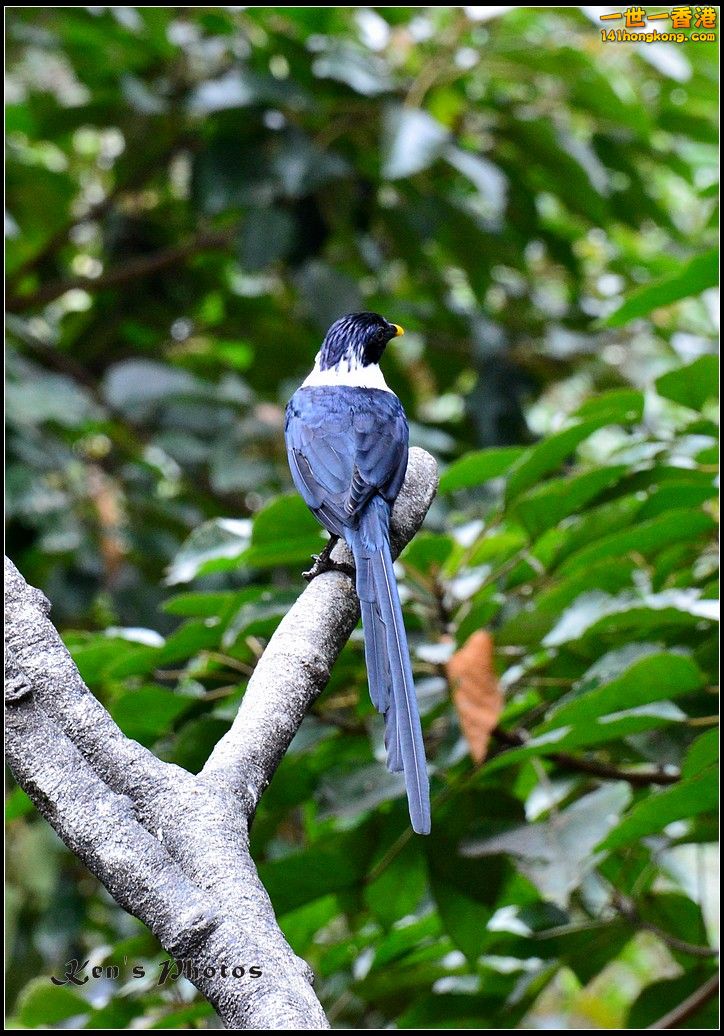 DSC_1429.jpg