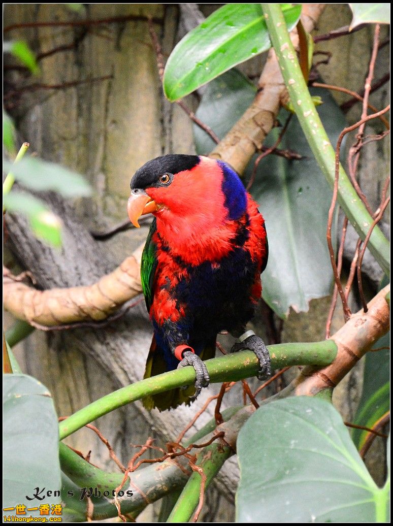 DSC_1441.jpg