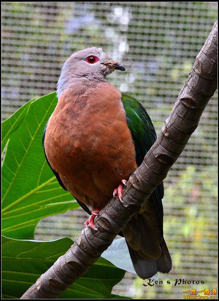 DSC_1442.jpg