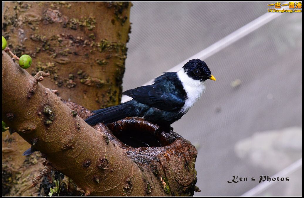 DSC_1453.jpg