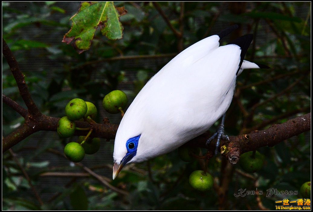 DSC_1457.jpg