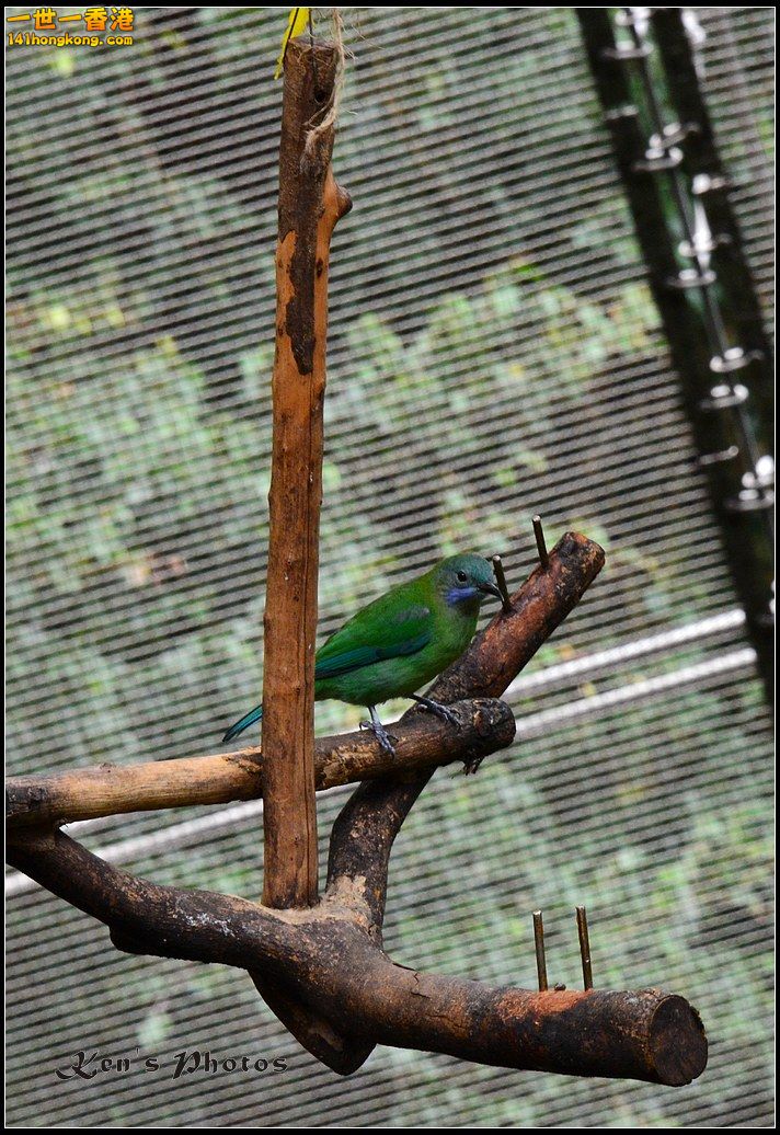 DSC_1465.jpg