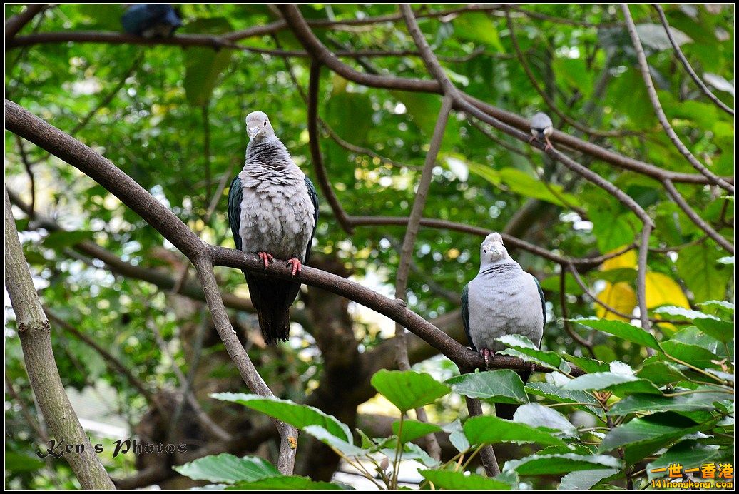 DSC_1476.jpg