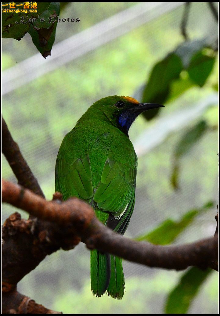 DSC_1484.jpg