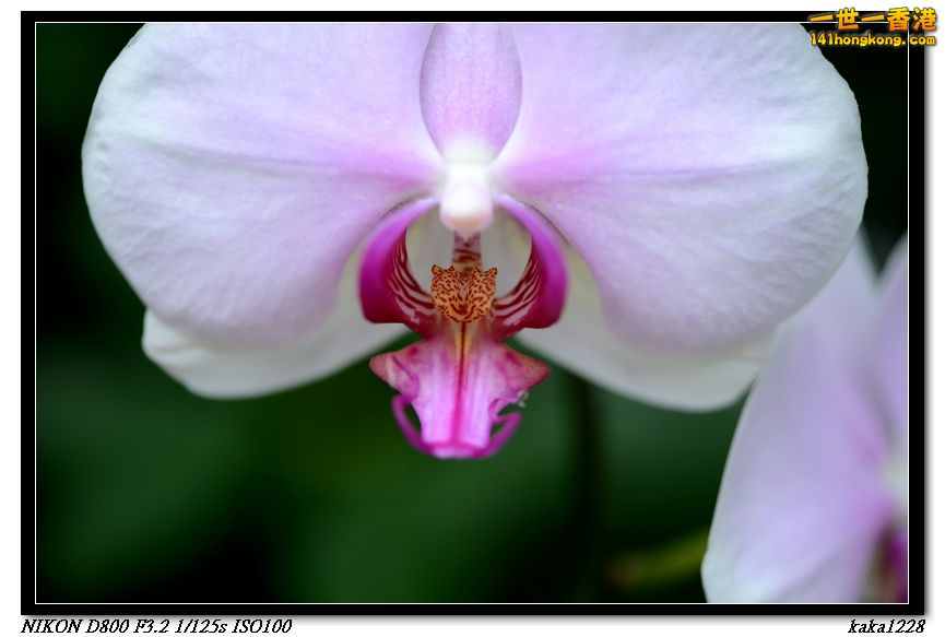 nEO_IMG_DSC_0996.jpg
