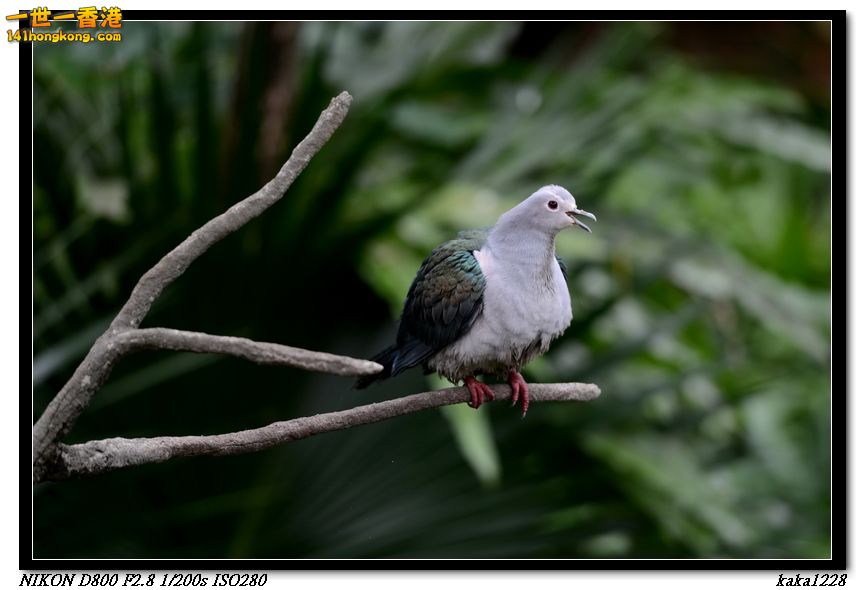 nEO_IMG_DSC_1048.jpg