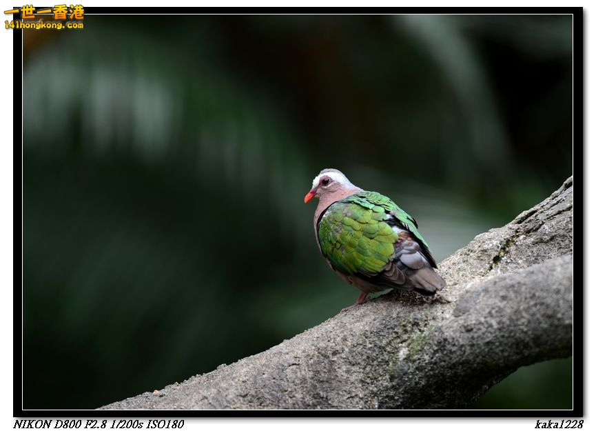 nEO_IMG_DSC_1155.jpg