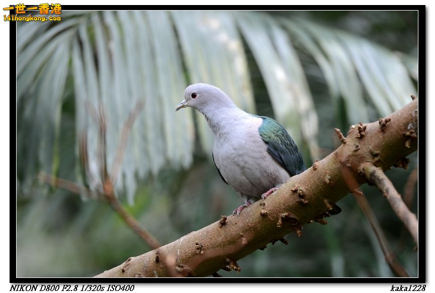 nEO_IMG_DSC_1173.jpg