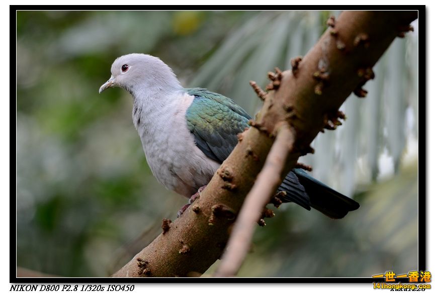 nEO_IMG_DSC_1177.jpg