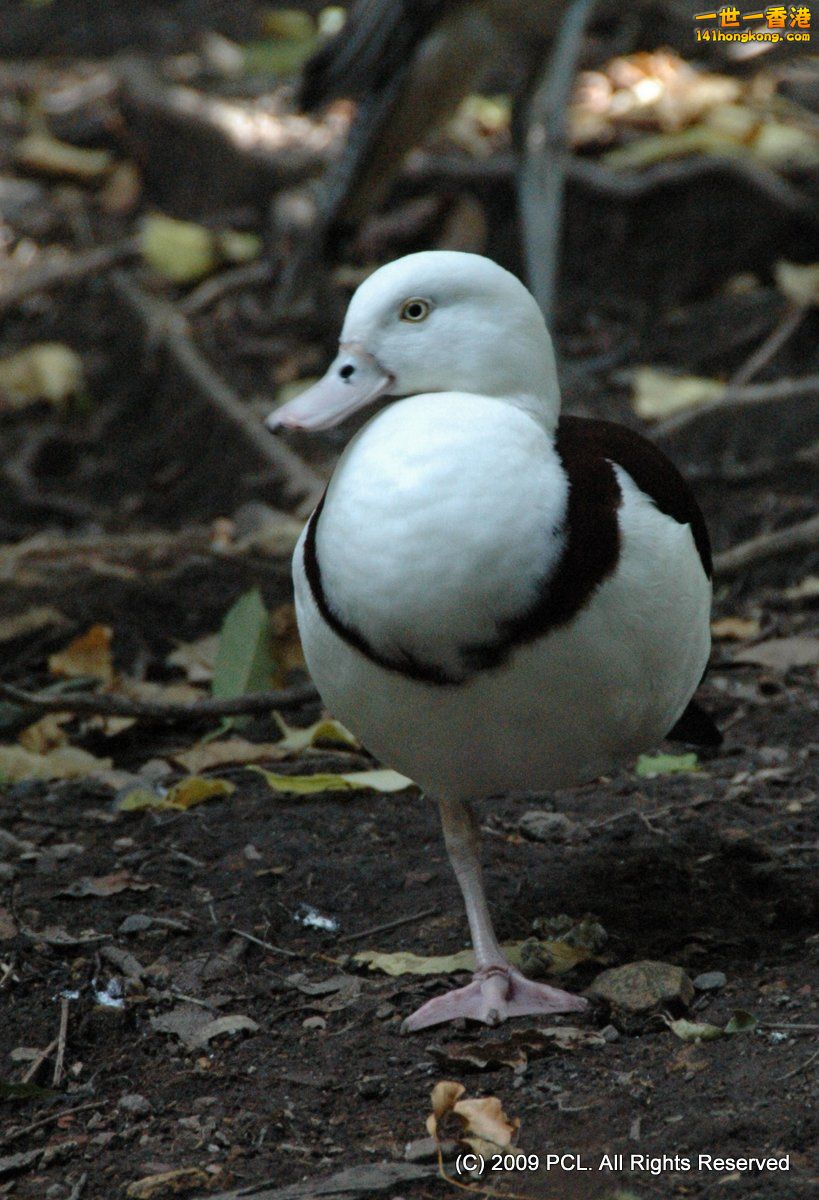 DSC_3761.JPG