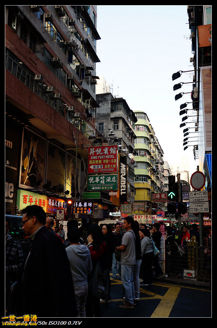 DSC03924.jpg