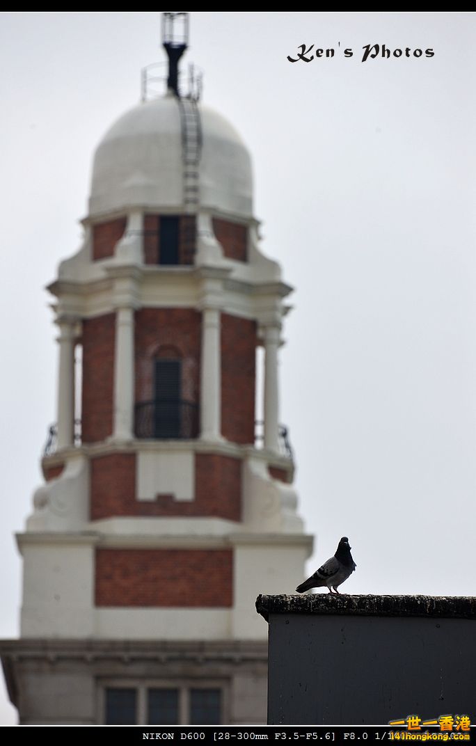 DSC_1536.jpg