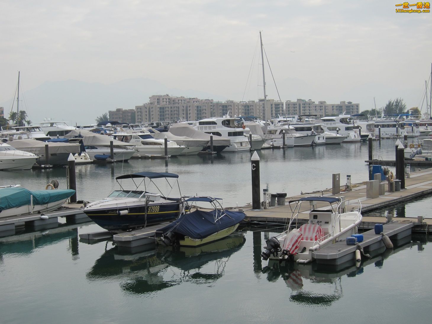 IMG_0543.jpg