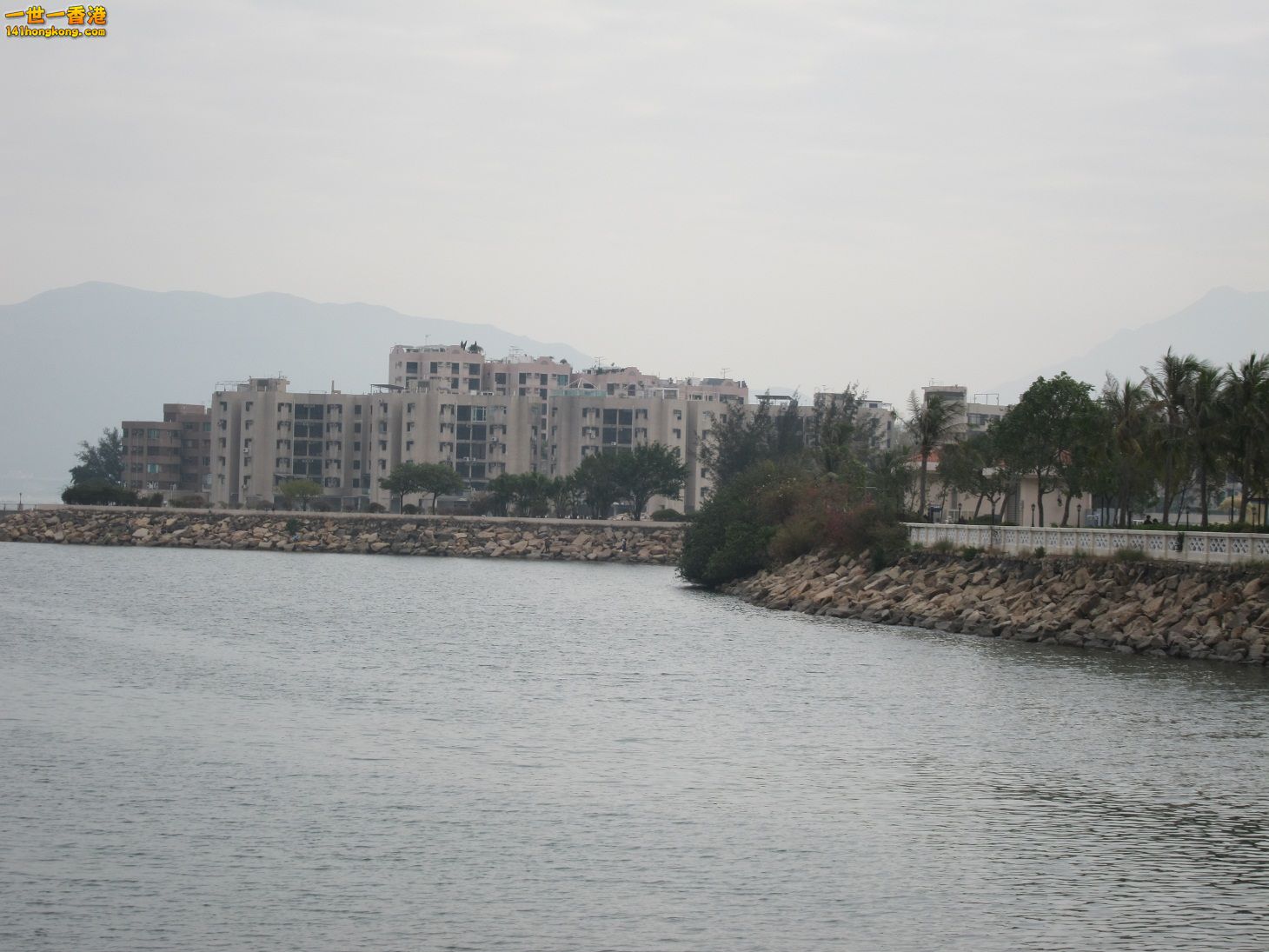 IMG_0565.jpg