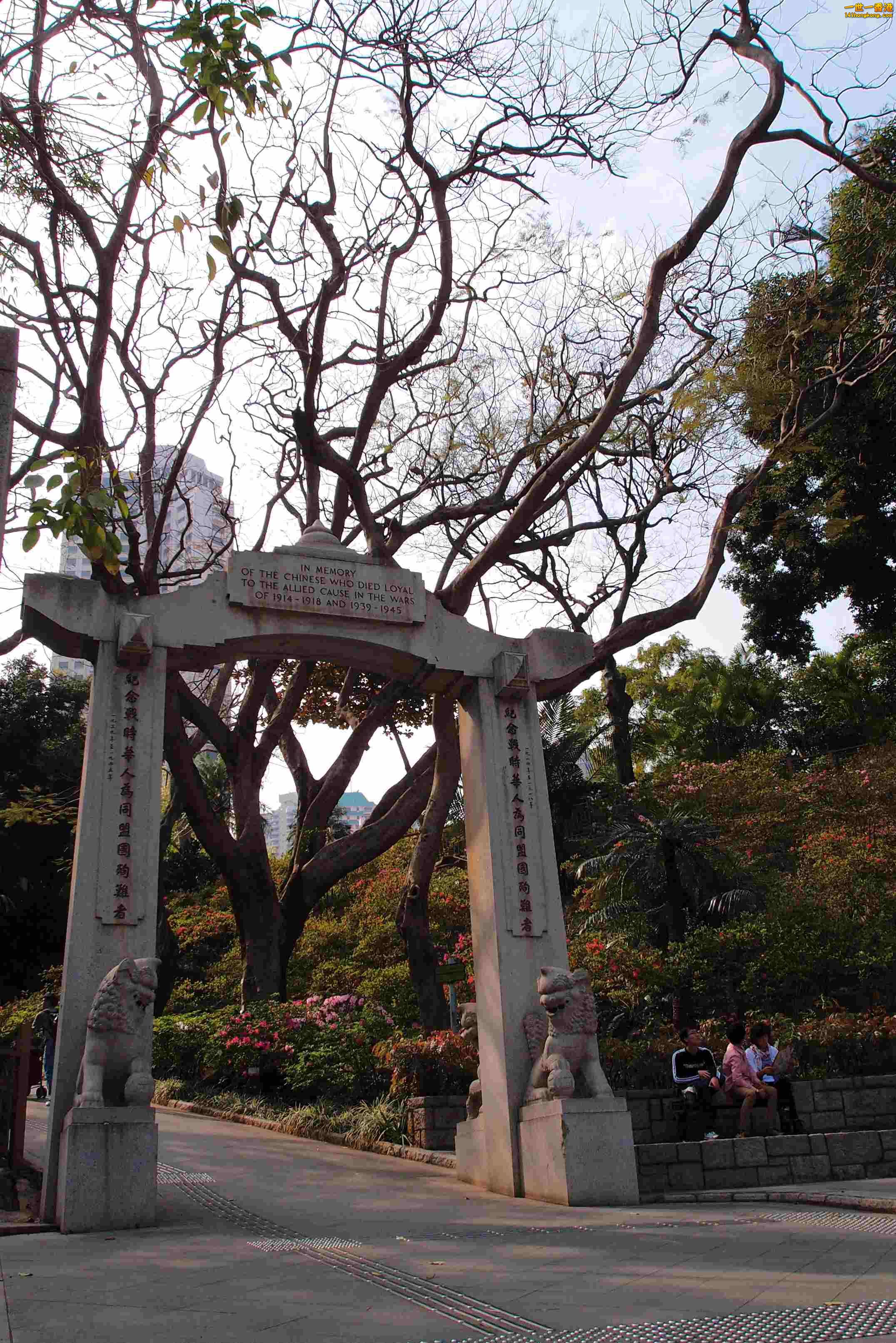 P2230521a.jpg