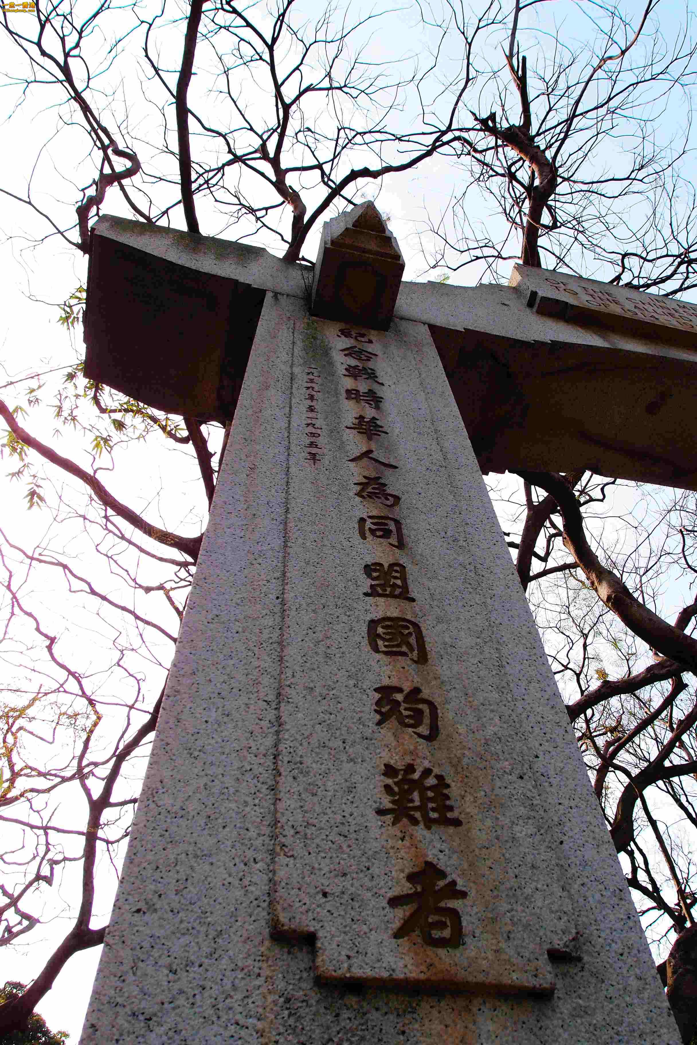 P2230525a.jpg