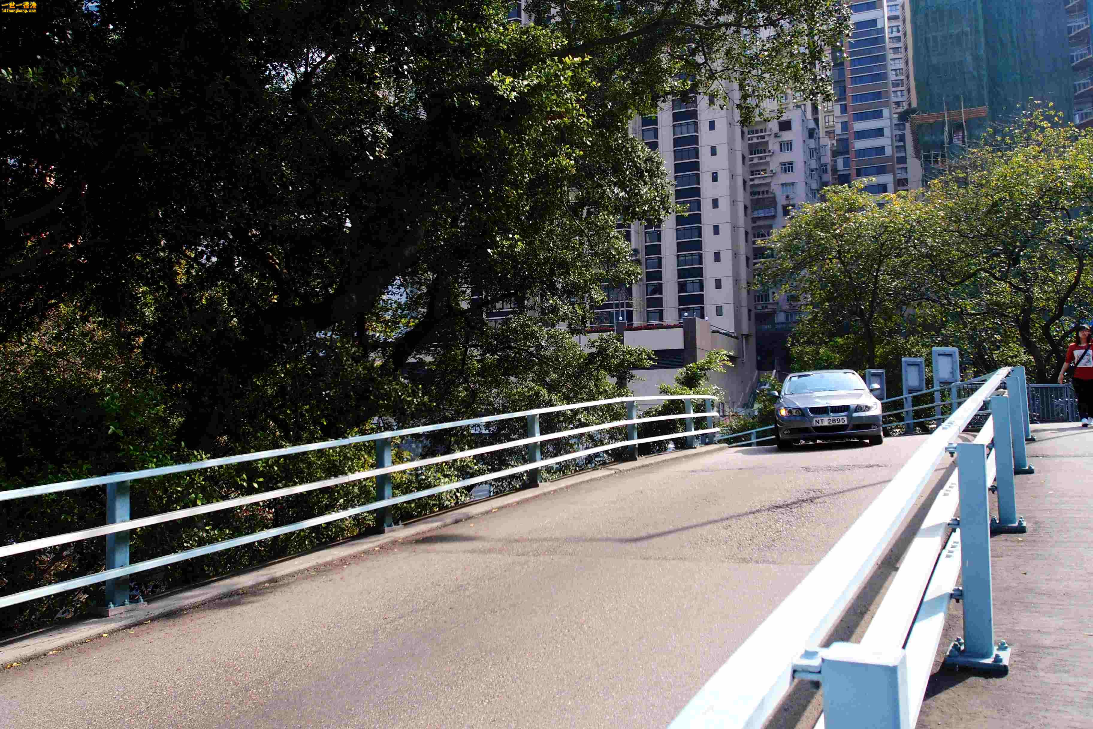 P2230520a.jpg