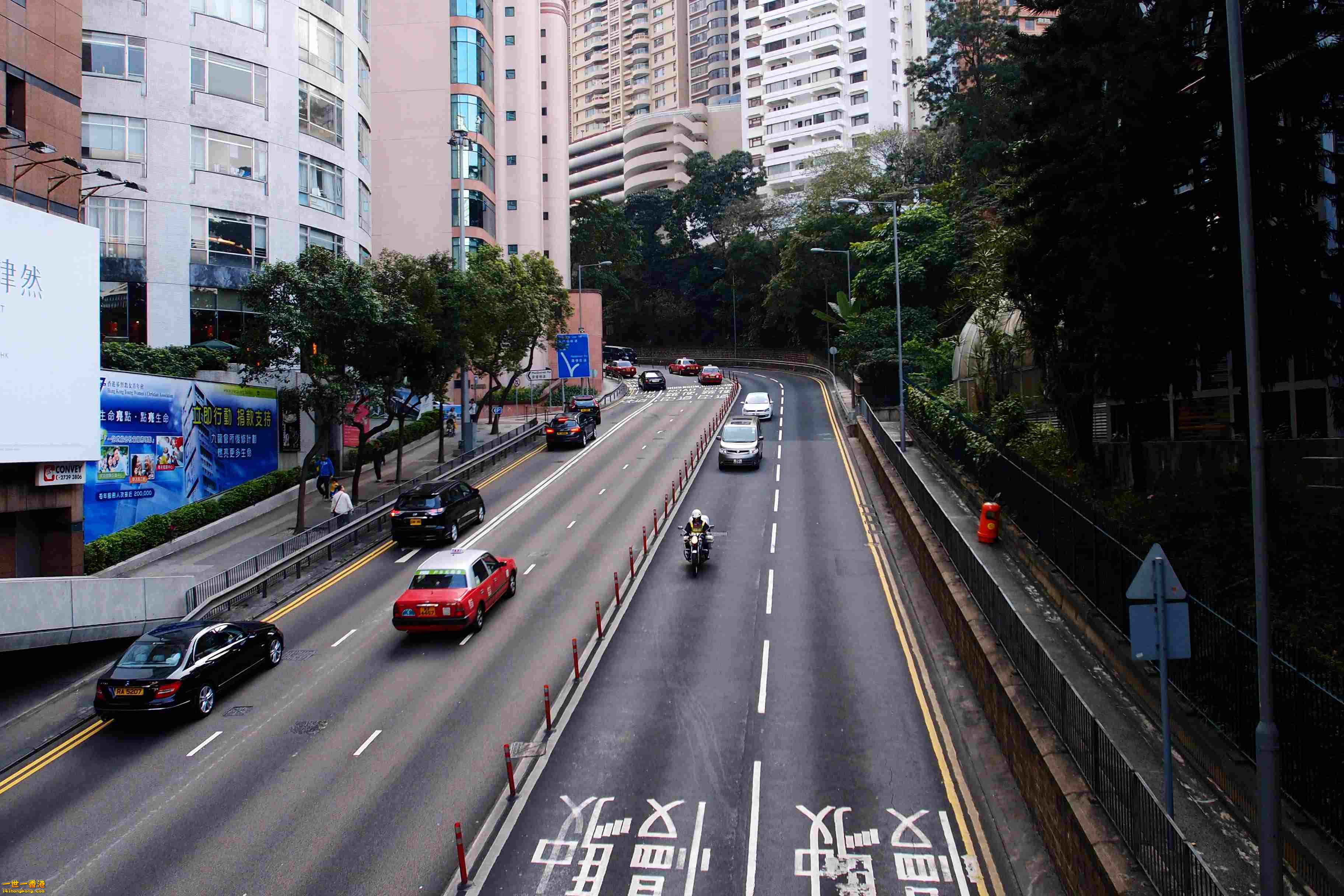 P2230563a.jpg