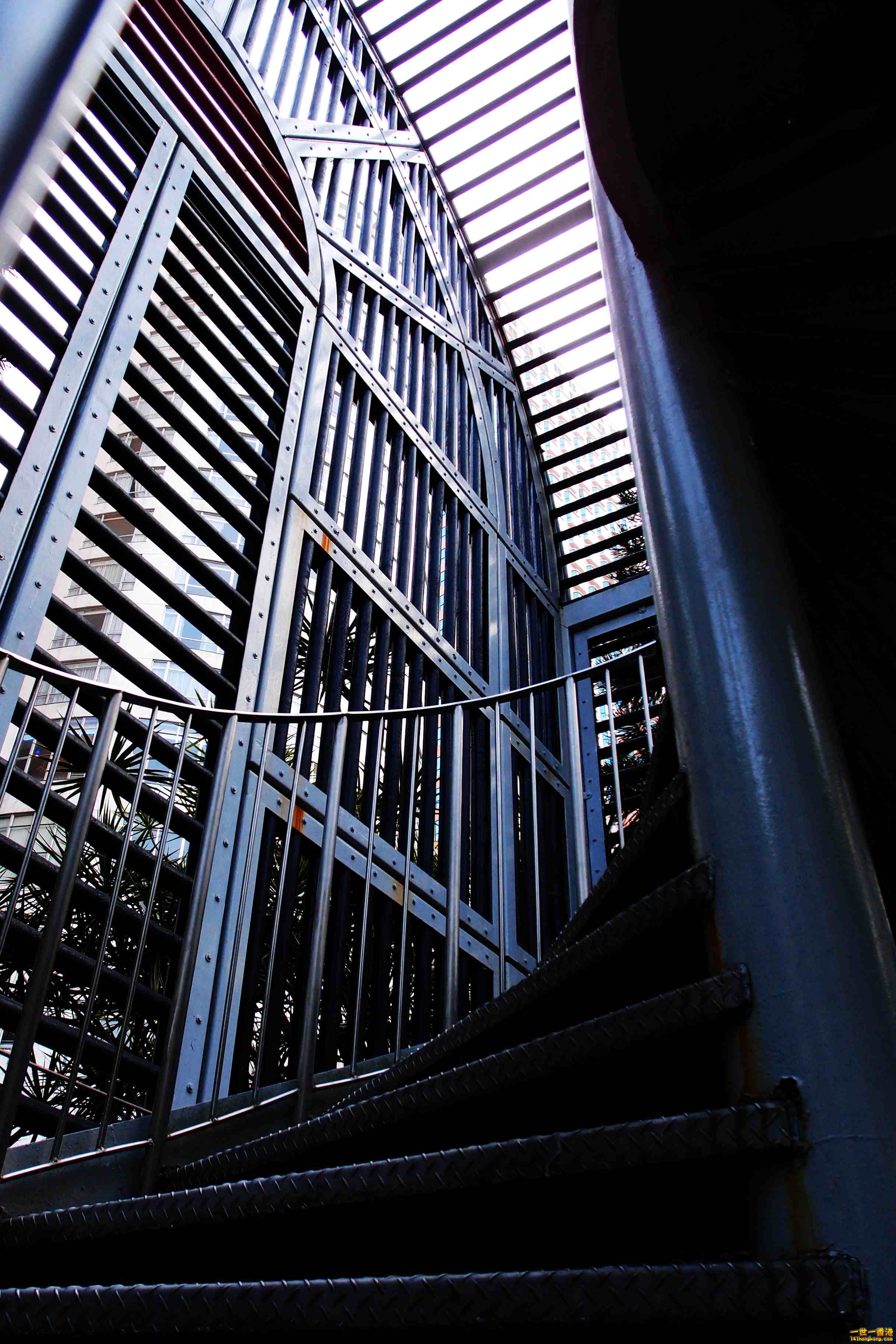 P2230567a.jpg
