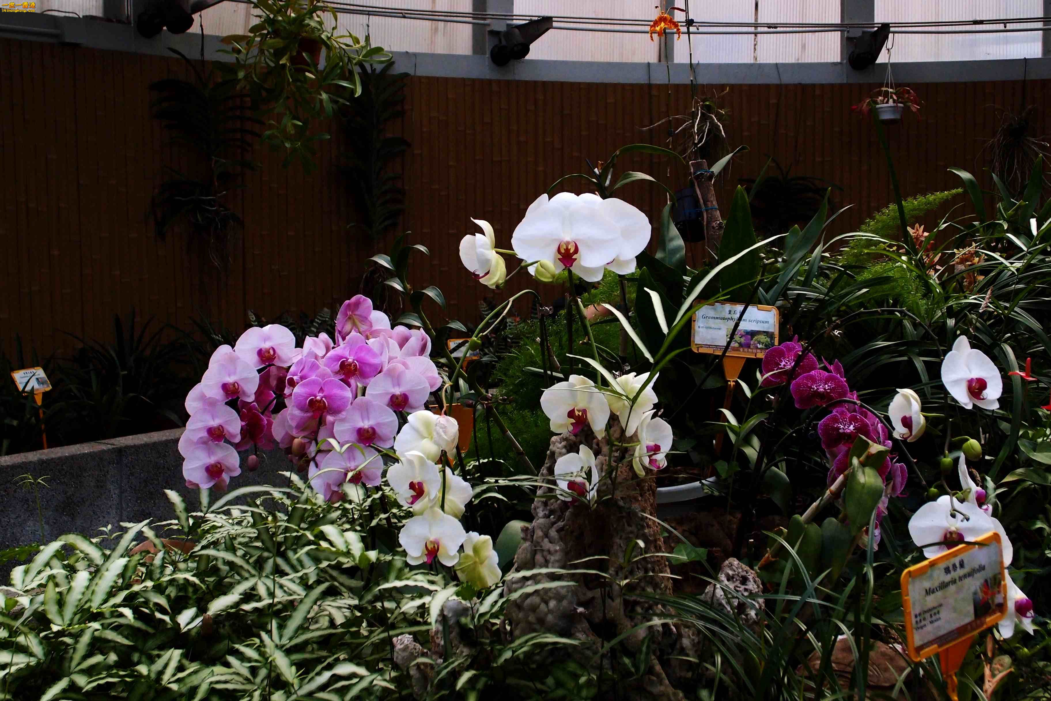 P2230569a.jpg