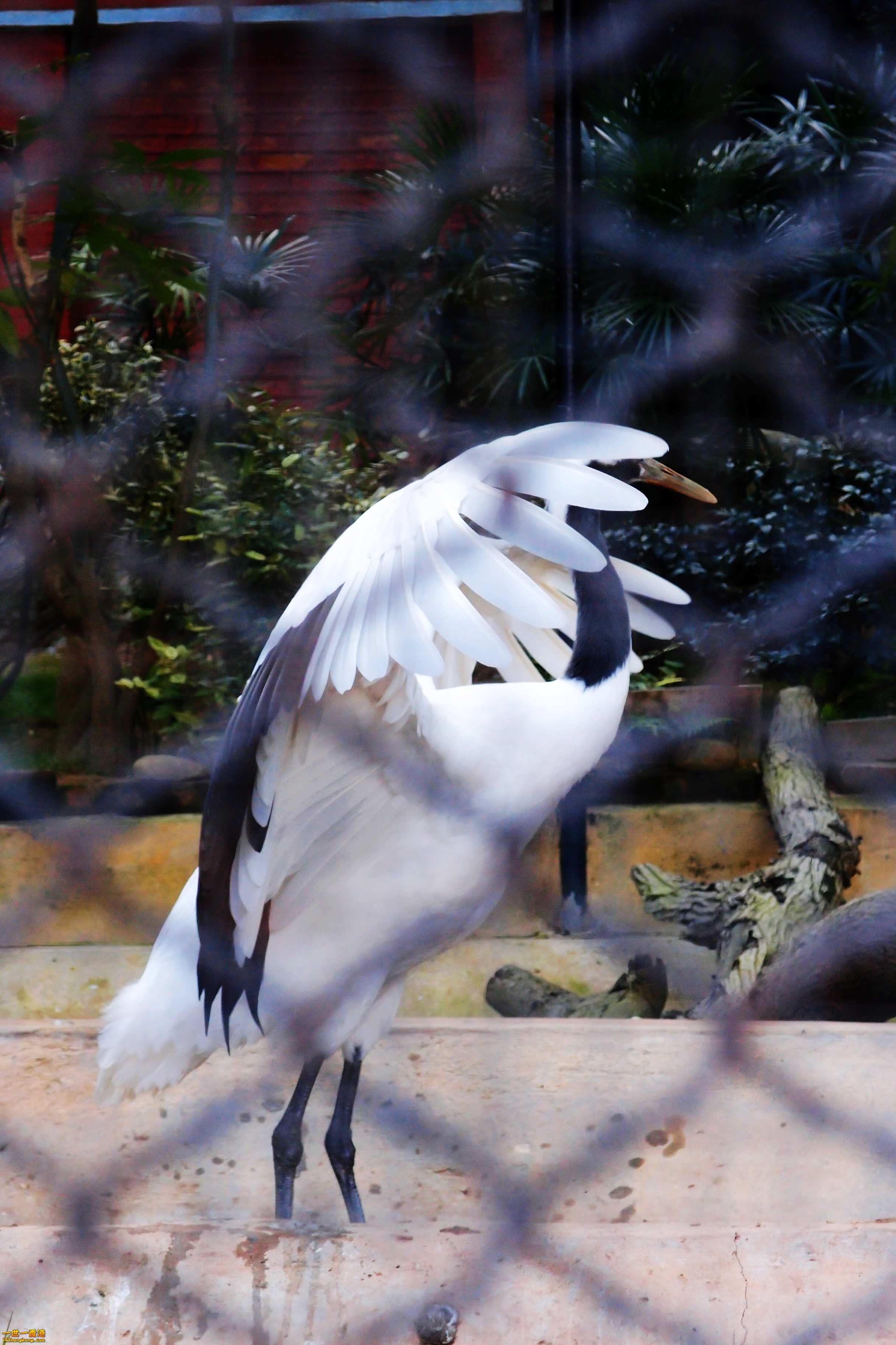 P2230582a.jpg