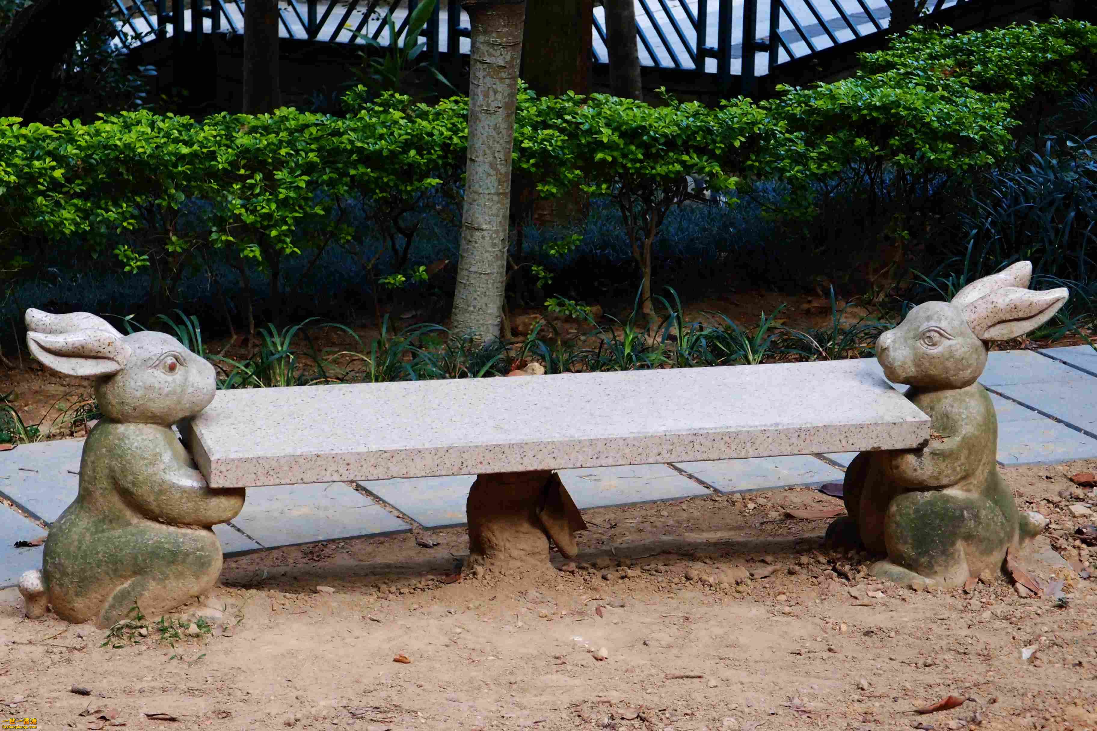 P2230585a.jpg