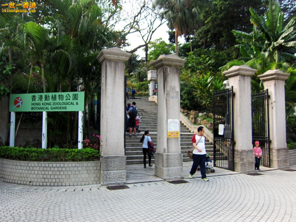景 (9).jpg
