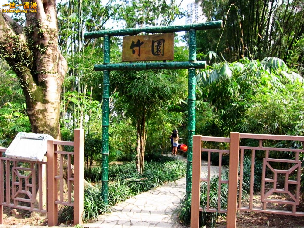 景 (16).jpg