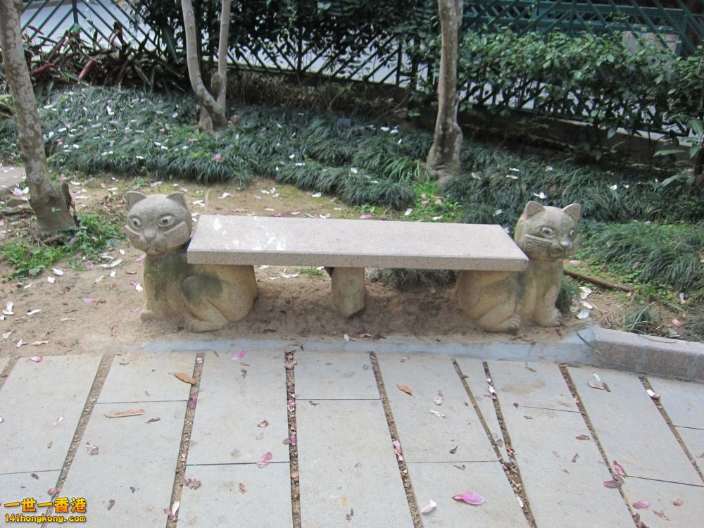 景 (19).jpg