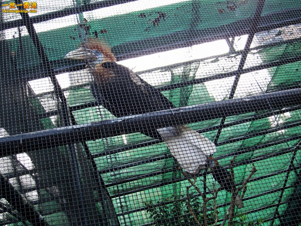 IMG_5663_conew1.jpg