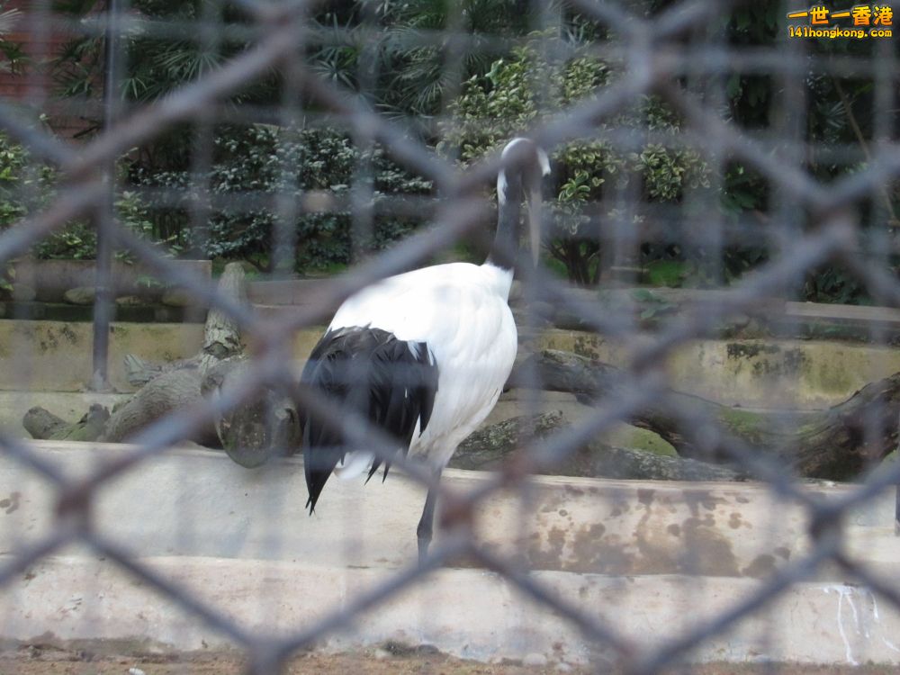 IMG_5665_conew1.jpg