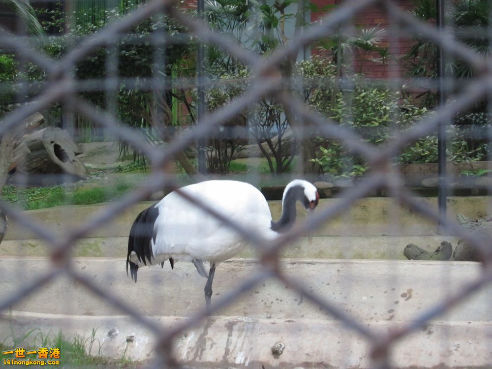 IMG_5666_conew1.jpg