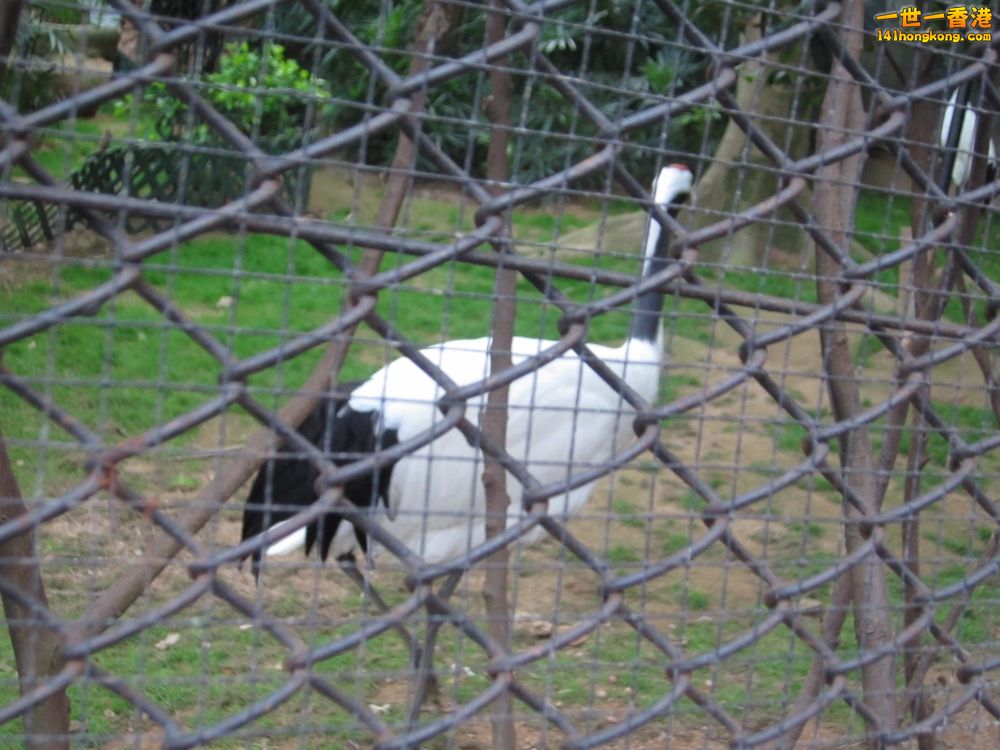 IMG_5672_conew1.jpg