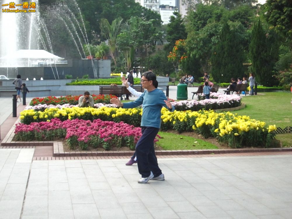 景 (11）.jpg