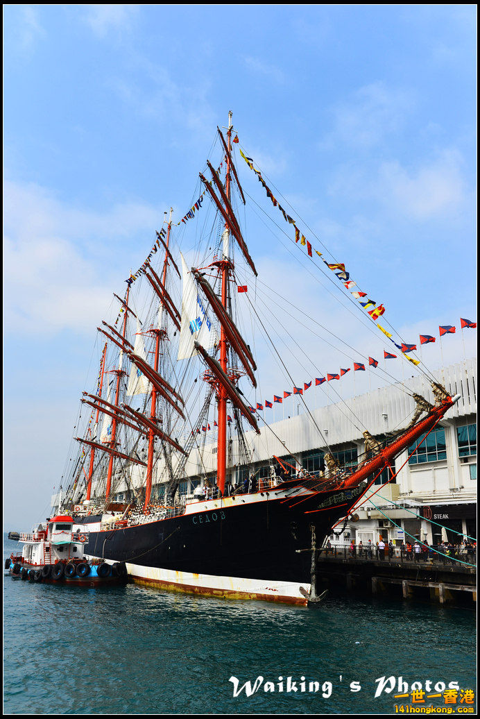 DSC_0202.jpg