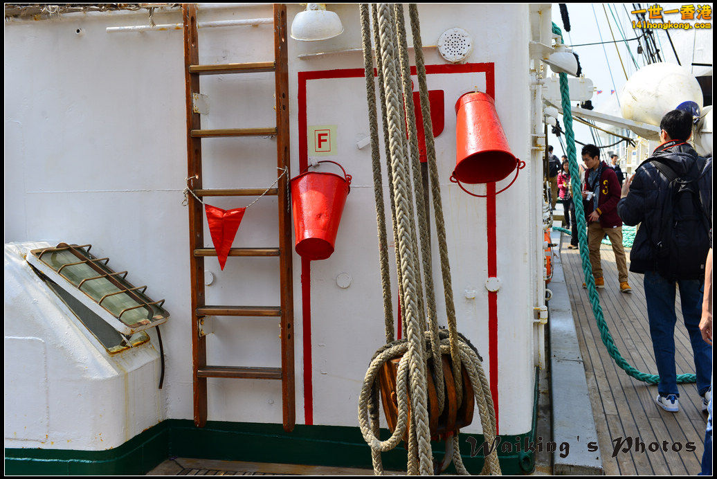 DSC_0238.jpg