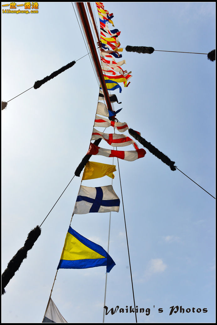 DSC_0250.jpg