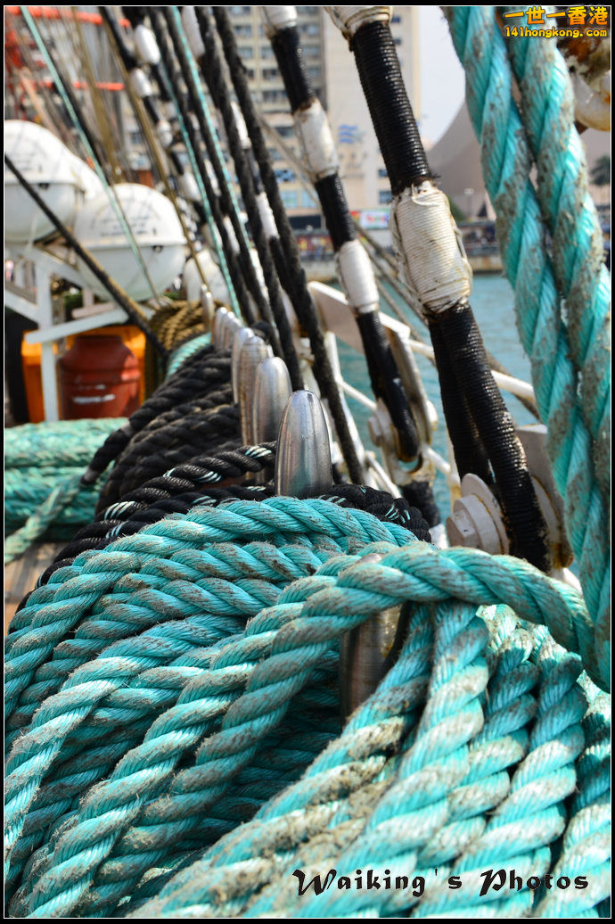 DSC_0261.jpg