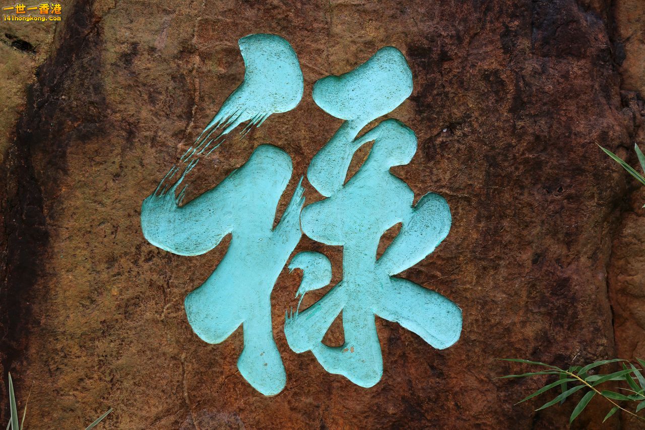 3P1A1972.JPG
