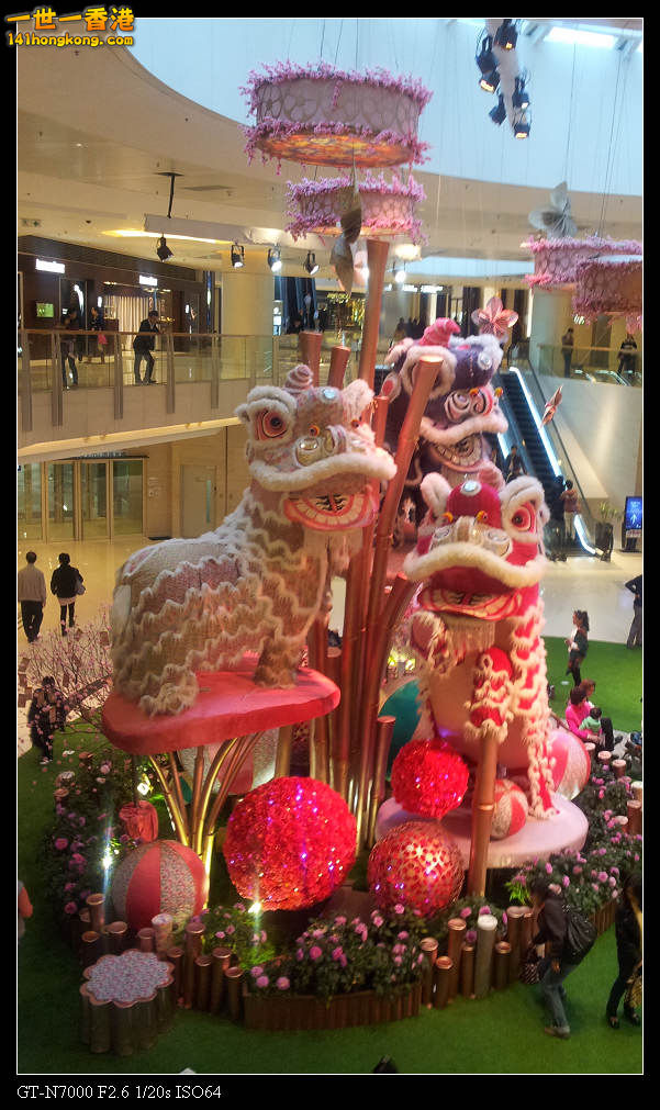 20130224_164946.jpg
