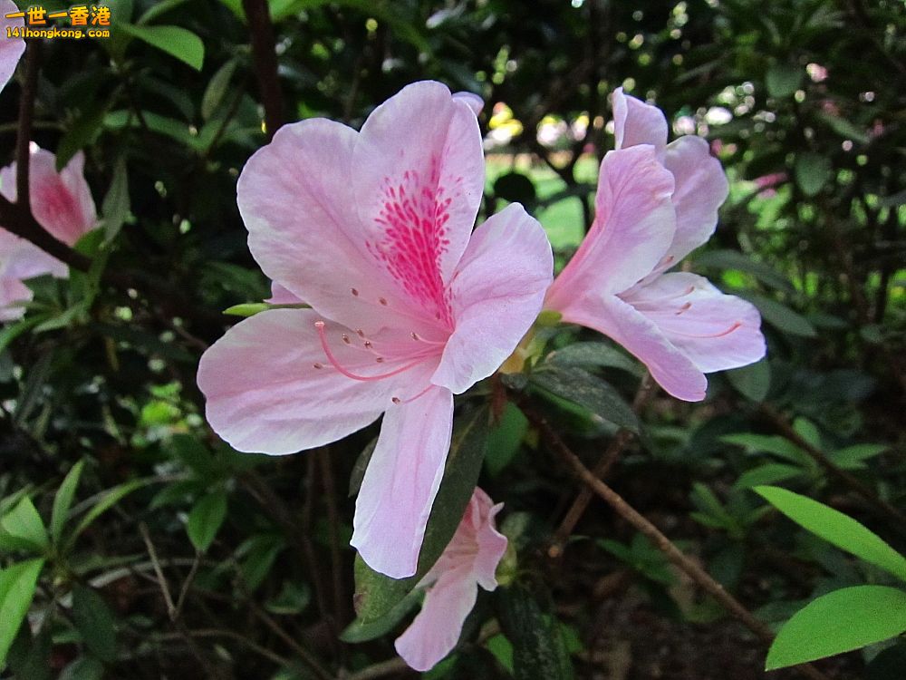 IMG_5578_conew1.jpg