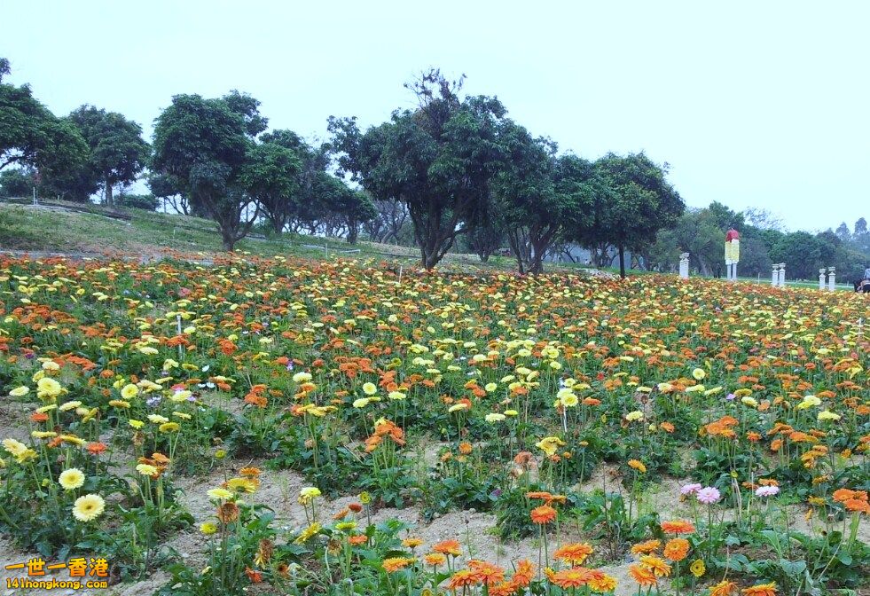 2013-02-25 00 28 37.jpg