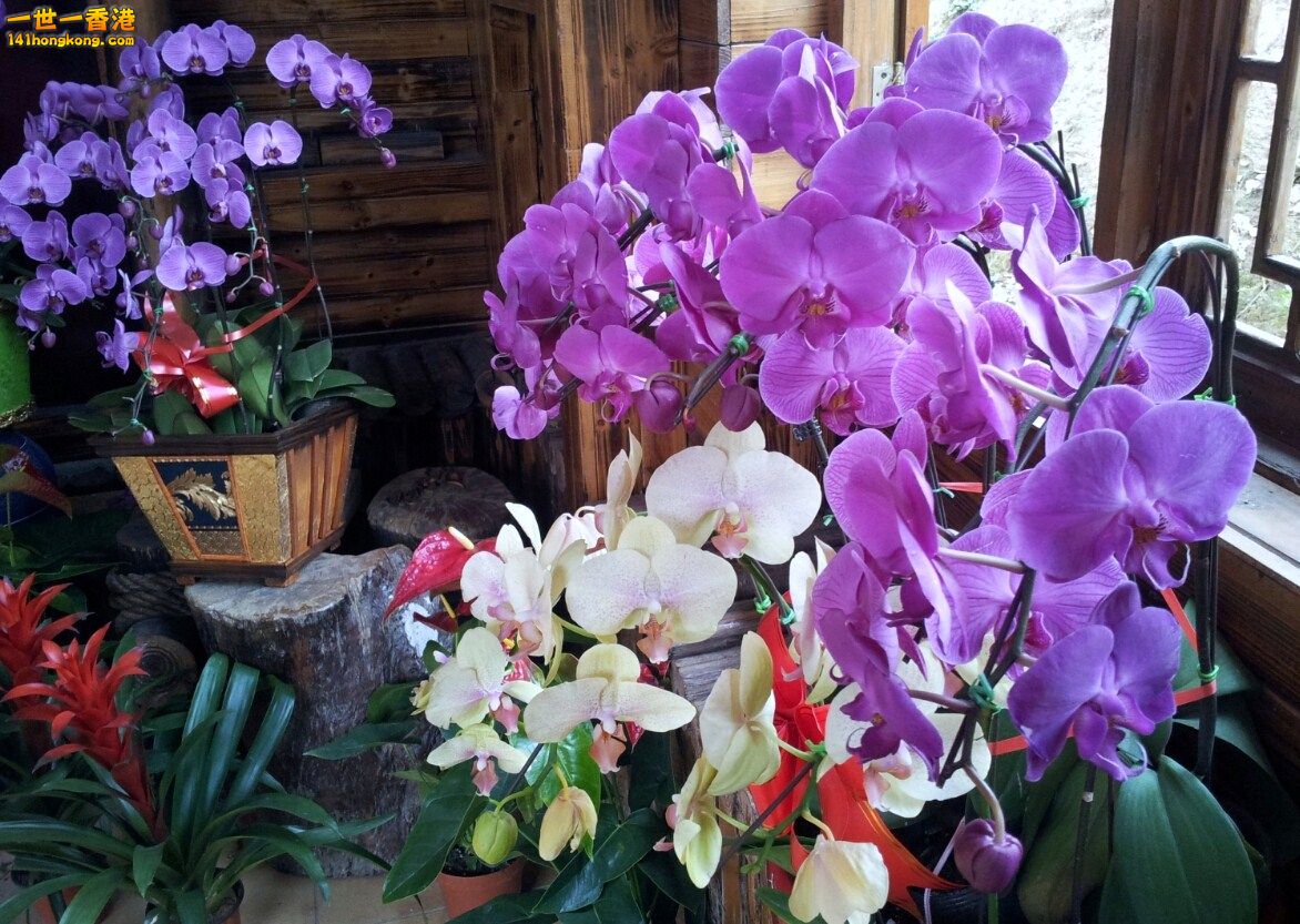 2013-02-25 00 29 54.jpg